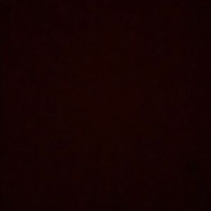 Meet your Posher, Amelia